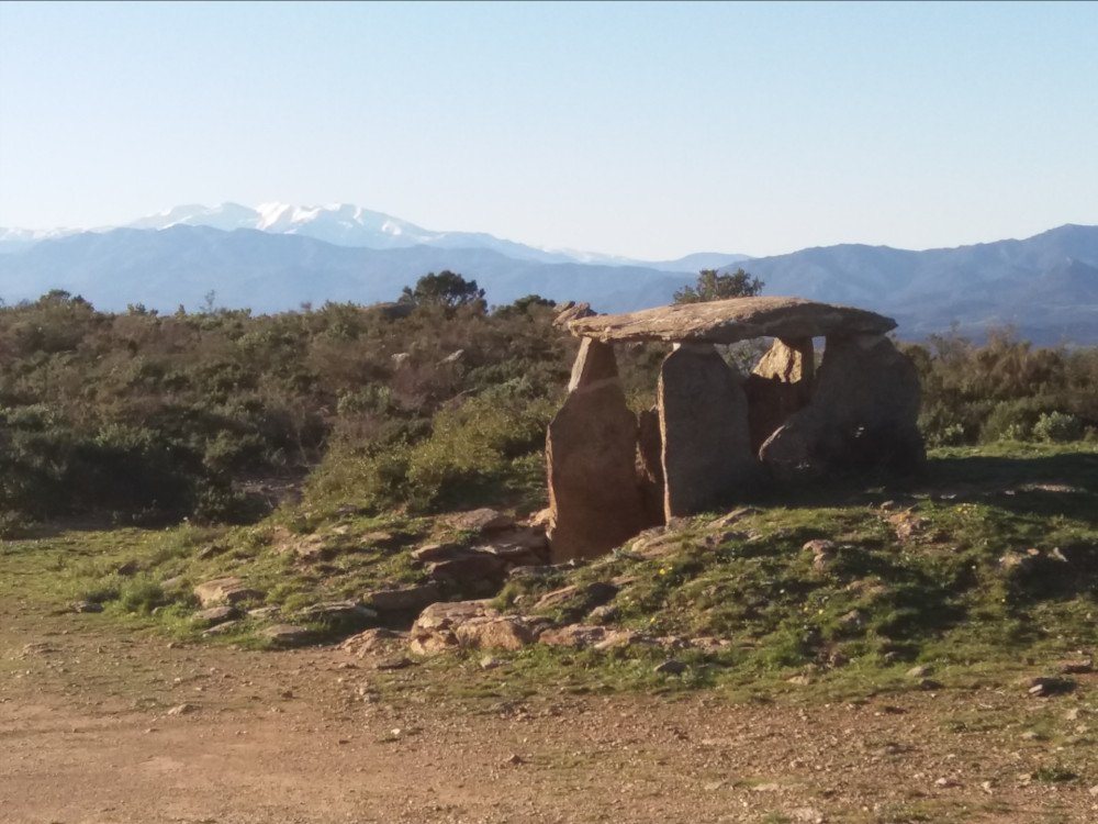 le Canigou